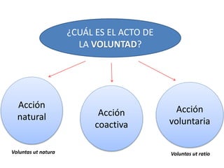 ¿CUÁL ES EL ACTO DE 
LA VOLUNTAD? 
Acción 
natural 
Acción 
voluntaria 
Acción 
coactiva 
Voluntas ut natura Voluntas ut ratio 
 