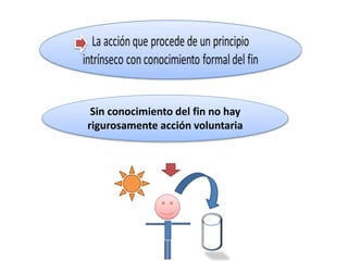 Sin conocimiento del fin no hay 
rigurosamente acción voluntaria 
 