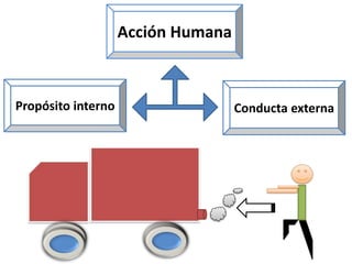 Acción Humana 
Propósito interno Conducta externa 
 