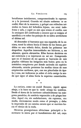 LA VORÁGINE 125
batallamos inútilmente, comprometiendo la esperan-
za y la juventud. Cuando mi alazán sudoroso se sa-
cudió, libre de la montura, y galopó con relinchos tré·
mulos en busca del bebedero lejano, me sentí inde-
fenso y solo, y.copié en mis ojos tristes el confín, con
la amargura del condenado a muerte que se resigna al
sacrificio y ve sobre los paisajes de su niñez arrebolarse
el último sol.
Al descender el barranco que nos separaba de la cu-
riara, torné la cabezahacia el limite de los llanos, per-
didos en una nébula dulce, donde las palmeras me
despedían. Aquellas inmensidades me hirieron, y, no
obstante, quería abrazarlas. Ellas fueron decisivas en
mi existencia y se injertaron en mi ser. Comprendo
que en el instante de mi agonía se borrarán de mis
pupilas vidriosas las imágenes más leales; pero en la
atmósfera sempiterna por donde ascienda mi espíritu
aleteando, estarán presentes las medias tintas de esos
crepúsculos cariñosos, que, con sus pinceladas de ópa-
lo y rosa, me indicaron ya sobre el cielo amigo la sen-
da que sigue el alma hacia la suprema constelación.
*
* *
La curiara, como un ataúd flotante, sigUlo aguas
abajo, a la hora en que la tarde alarga las sombras.
Desde el dorso de la corriente columbrábanse las már-
genes paralelas, de sombría vegetación y de plagas hos-
tiles. Aquel río, sin ondulaciones, sin espumas, era
mudo, tétricarnente mudo como el presagio, y daba
la imprcsión de un camino oscuro que se moviera ha·
cia el vórtice de la nada.
Mientras proseguíamos silenciosos principió a la·
mentarse la tierra por el hundimiento del sol, cuya
 