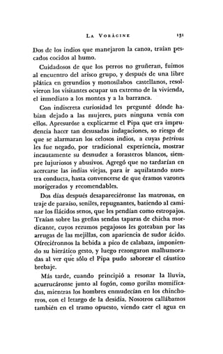 LA VORÁGINE
Dos de los indios que manejaron la canoa, traían pes-
cados cocidos al humo.
Cuidadosos de que los perros no gruñeran, fuimos
al encuentro del arisco grupo, y después de una libre
plática en gerundios y monosílabos castellanos, resol-
vieron los visitantes ocupar un extremo de la vivienda,
el inmediato a los montes y a la barranca.
Con indiscreta curiosidad les pregunté dónde ha-
bían dejado a las mujeres, pues ninguna venía con
ellos. Apresuróse a explicarme el Pipa que era impru-
dencia hacer tan desusadas indagaciones, so riesgo de
que se alarmaran los celosos indios, a cuyas petrivas
les fue negado, por tradicional experiencia, mostrar
incautamente su desnudez a forasteros blancos, siem-
pre lujuriosos y abusivos. Agregó que no tardarían en
acercarse las indias viejas, para ir aquilatando nues-
tra conducta, hasta convencerse de que éramos varones
morigerados y recomendables.
Dos días después desapareciéronse las matronas, en
traje de paraíso, seniles, repugnantes, batiendo al cami-
nar los flácidos senos, que les pendían como estropajos.
Traían sobre las greñas sendas taparas de chicha mor-
dicante, cuyos rezumos pegajosos les goteaban por las
arrugas de las mejillas, con apariencia de sudor ácido.
Ofreciéronnos la bebida a pico de calabaza, imponien-
do su hierático gesto, y luego rezongaron malhumora-
das al ver qúe s610 el Pipa pudo saborear el cáustico
brebaje.
Más tarde, cuando principi6 a resonar la lluvia,
acurrucáronse junto al fogón, como gorilas momifica-
das, mientras los hombres enmudecían en los chincho-
rros, con el letargo de la desidia. Nosotros callábamos
también en el tramo opuesto, viendo caer el agua en
 