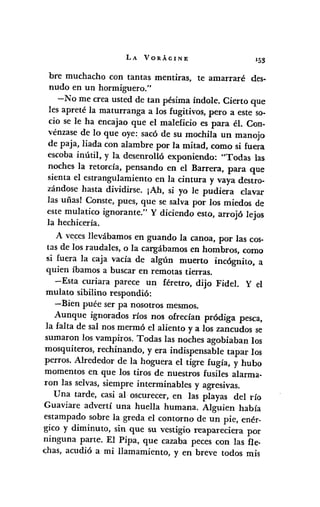 LA VORÁGINE 153
bre muchacho con tantas mentiras, te amarraré des-
nudo en un hormiguero."
-No me crea usted de tan pésima índole. Cierto que
les apreté la maturranga a los fugitivos, pero a este so-
cio se le ha encajao que el maleficio es para él. Con-
vénzase de lo que oye: sacó de su mochila un manojo
de paja, liada con alambre por la mitad, como si fuera
escoba inútil, y la desenrolló exponiendo: "Todas las
noches la retorcía, pensando en el Barrera, para que
sienta el estrangulamiento en la cintura y vaya destro-
zándose hasta dividirse. Ifh, si yo le pudiera clavar
las uñasl Conste, pues, que se salva por los miedos de
este mulatico ignorante." y diciendo esto, arrojó lejos
la hechicería.
A veces llevábamos en guando la canoa, por las cos-
tas de los raudales, o la cargábamos en hombros, como
si fuera la caja vacía de algún muerto incógnito, a
quien íbamos a buscar en remotas tierras.
-Esta curiara parece un féretro, dijo Fidel. Y el
mulato sibilino respondió:
-Bien puée ser pa nosotros mesmos.
Aunque ignorados ríos nos ofrecían pródiga pesca,
la falta de sal nos mermó el aliento y a los zancudos se
sumaron los vampiros. Todas las noches agobiaban los
mosquiteros, rechinando, y era indispensable tapar los
perros. Alrededor de la hoguera el tigre fugía, y hubo
momentos en que los tiros de nuestros fusiles alarma-
ron las selvas, siempre interminables y agresivas.
Una tarde, casi al oscurecer, en las playas del río
Guaviare advertí una huella humana. Alguien había
estampado sobre la greda el contorno de un pie, enér-
gico y diminuto, sin que su vestigio reapareciera por
ninguna parte. El Pipa, que cazaba peces con las fle.
chas, acudió a mi llamamiento, y en breve todos mis
 