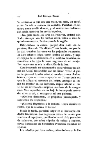 JOSÉ EUSTASIO RIVERA
Ya sabíamos lo que era una mata, un caño, un zural,
y por fin Alicia conoció los venados. Pastaban en un
estero nasta media docena, y al ventearnos endenza-
, ron hacia nosotros las orejas esquivas.
-No gaste usted los tiros del revólver, ordenó don
Rafo. Aunque vea los bichos cerca, están a más de
quinientos metros. Fenómenos de la región.
Dificultábase la charla, porque don Rafo iba de
puntem, llevando "de diestro" una bestia, en pos de
la cual trotaban las otras en los pajonales retostados.
El aire caliente fulgía como lámina de metal, y bajo
el espejeo de la atmósfera, en el ámbito desolado, in-
sinuábase a lo lejos la masa negruzca de un mon~c.
Por momentos se oía la vibración de la luz.
Con frecuencia me desmontaba para refrescar las sie-
nes de Alicia, frotándolas con un limón verde. A gui-
sa de quitasol llevaba sobre el sombrero una chalina
blanca, cuyos extremos empapaba en llanto cada vez
que la afligía el recuerdo del hogar. Aunque yo fin-
gía no reparar en sus lágrimas, inquietábame el tin-
te de sus arreboladas mejillas, miedoso de la conges-
tión. Mas imposible sestear bajo la intemperie asolea-
da: ni un árbol, ni una gruta, ni una palmera.
-¿Quieres descansar?, le proponía preocupado, y
sonriendo me respondía:
-¡Cuando lleguemos a la sombra! ¡Pero cúbrete el
rostro, que la resolana te tuestal
Hacia la tarde, parecían surgir en el horizonte ciu-
dades fantásticas. Las negruzcas matas de monte pro-
vocaban el espejismo, perfilando en el cielo penachos
de palmeras, por sobre cúpulas de ceibas y copeyes,
cuyas floraciones de bermellón evocaban manchas de
tejados.
Los caballos que iban sueltos, orientándose en la lla-
 