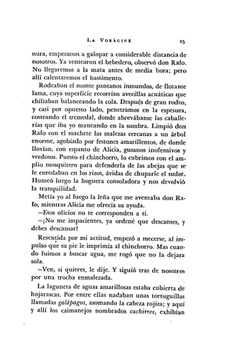 LA VORÁGINE
nura, empezaron a galopar a considerable distancia de
nosotros. Ya ventearon el bebedero, observó don Rafo.
No llegaremos a la mata antes de media hora; pero
allí calen taremos el bastimento.
Rodeaban el monte pantanos inmundos, de flot:;tnte
lama, cuya superficie recorrían avecillas acuáticas que
chillaban balanceando la cola. Despu~s de gran rodeo,
y casi por opuesto lado, penetramos en la espesura,
costeando el tremedal, donde abrevábanse las caballe-
rías que iba yo maneando en la sombra. Limpió don
Rafo con el machete las malezas cercanas a un árbol
enorme, agobiado por festones amarillentos, de donde
lIovían, con espanto de Alicia, gusanos inofensivos y
verdosos. Puesto el chinchorro, lo cubrimos con el am-
plio mosquitero para defenderla de las abejas que se
le enredaban en los rizos, ávidas de chuparle el sudor.
Humeó luego la hoguera consoladora y nos devolvió
la tranquilidad.
Metía yo al fuego la leña que me aventaba don Ra-
fo, mientras Alicia me ofrecía su ayuda.
-Esos oficios no te corresponden a ti.
-¡No me impacientes, ya ordené que descanses, y
debes descansar!
Resentida por mi actitud, empezó a mecerse, al im-
pulso qde su pie le imprimía al chinchorro. Mas cuan-
do fuimos a buscar agua, me rogó que no la dejara
sola.
-Ven, si quieres, le dije. Y siguió tras de nosotros.
por una trocha enmalezada.
La laguneta de aguas amarillosas estaba cubierta de
hojarascas. Por entre ellas nadaban unas tortuguillas
llamadas galáPagos, asomando la cabeza rojiza; y aquí
y allí los caimanejos nombrados cachirres, exhihían
 