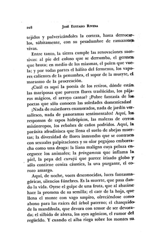 JOSÉ EUSTASIO RIVERA
tejidos y pulverizándoles la corteza, hasta derrocar--
los, súbitamente, con su pesadumbre de ramazoncs.
VIvas.
Entre tanto, la tierra cumple las renovaciones suce·-
sivas: al pie del coloso que se derrumba, el germen,
que brota; en medio de los miasmas, el polen que vue-
la; y por todas partes el hálito del fermento, los vapo-·
res calientes de la penumbra, el sopor de la mue~te, el
marasmo de la procreación.
¿Cuál es aquí la poesía de los retiros, dónde están"
las mariposas que parecen flores traslúcidas, los pája-
ros mágicos, el arroyo cantor? ¡Pobre fantasía de 10$,
poetas que sólo conocen las soledades domesticadas!
¡Nada de ruiseñores enamorados, nada de jardín ver-
sallesco, nada de panoramas sentimentales! Aquí, los~
responsos de sapos hidrópicos, las malezas de cerrOS·
misántropos, los rebalses de caños podridos. Aquí, la.
parásita afrodisíaca que llena el suelo de abejas muer--
tas; la diversidad de flores inmundas que se contraen-
con sexuales palpitaciones y su olor pegajoso emborra-
cha como una droga: la liana maligna cuya peluza en-
ceguece los animales; la pringamosa que inflama la
piel, la pepa del curujÚ que parece irisado globo T
sólo contiene ceniza cáustica, la uva purgante, el co-·
rozo amargo.
Aquí, de noche, voces desconocidas, luces fantasma--
góricas, silencios fúnebres. Es la muerte, que pasa dan-
do la vida. Oyese el golpe de una fruta, que al abatirse-
hace la promesa de su semilla; el caer de la hoja, que"
llena el monte con vago suspiro, ofreciéndose comO'
abono para las raíces del árbol paterno; el chasquido<
de la mandíbula, que devora con temor de ser devora-
da; el silbido de alerta, los ayes agónicos, el rumor del
regiieldo. Y cuando el alba riega sobre los montes su;
 