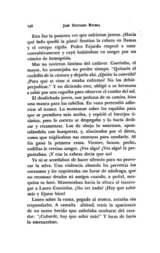 Jost EUSTASIO lllVERA
Esta fue la postrera vez que sufrieron juntos. ¿Hacia
qué lado quedó la pista? Sentían la cabeza en llamas
y el cuerpo rígido. Pedro Fajardo empezó a toser
convulsivamente y cayó bañándose en sangre por un
vómito de hemoptisis.
Mas no tuvieron lástima del cadáver. Coutinho, el
mayor, les aconsejaba no perder tiempo. "Quitarle el
cuchillo de la cintura y dejarlo ahí. ¿Quién lo convidór
¿Para qué se vino si estaba enfermo? No los debía·
perjudicar." Y en diciendo esto, obligó a su hermano
a subir por una copaiba para observar el rumbo del sol.
El desdichado joven, con pedazos de su camisa, hizo
una manea para los tobillos. En vano pretendió adhe-
rirse al tronco. Lo montaron sobre las espaldas para
que se prendiera más arriba, y repitió el forcejeo ti-
tánico, pero la corteza se despegaba y lo hacía desli-
zar y recomenzar. Los de abajo lo sostenían, apun-
talándolo con horquetas, y, alucinados por el deseo~
como que triplicaban sus estaturas para ayudarlo. Al
fin ganó la primera rama. Vientre, brazos, pecho~
rodillas le vertían sangre. ¿Vesalgo? ¿Vesalgo? le pre-
guntaban. ¡Y con la cabeza decía que no!
Ya ni se acordaban de hacer silencio para no provo-
car la selva. Una violencia absurda les pervenía los-
corazones y les requintaba un furor de náufrago, que
no reconoce deudos ni amigos cuando, a puñal, mez-
quina su bote. Manoteaban hacia la altura al interro-
gar a Lauro Coutinho. ¿No ves nada? ¡Hay que subir
más y fijarse bienl
Lauro sobre la rama, pegado al tronco, acezaba sin:
responderles. A tamaña altitud, tenía la apariencia
de un mono herido que anhelaba ocultarse del caza·
dor. "¡Cobarde, hay que subir más!" Y locos de furia
lo amenazaban.
 