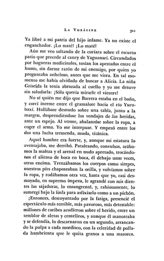LA VORÁGINE 321
Ya libré a mi patria del hijo infame.· Ya no existe el
enganchador. ¡Lo maté! ¡Lo maté!
Aún me veo saltando de la curiara sobre el escueto
patio que precede al caney de Yaguanarí. Circundados
por hogueras medicinales, tosían los apestados entre el
hum'o, sin darme razón de mi enemigo, por quien yo
preguntaba anheloso, antes que me viera. En tal mo-
mento me había olvidado de buscar a Alicia. La niña
Griselda la tenía abrazada al cuello y yo me detuve
sin saludarIa: ¡Sólo quería mirarIe el vientre!
No sé quién me dijo que Barrera estaba en el baño.
y corrí inerme entre el gramalote hacia el río Yuru-
baxí. Hallábase desnudo sobre una tabla, junto a la
margen, desprendiéndose los vendajes de .las heridas.
ante un espejo. Al verme, abalanzóse sobre la ropa. a
coger el arma. Yo me interpuse. Y empezó entre los
dos una lucha tremenda, muda, titánica.
Aquel hombre era fuerte, y, aunque mi estatura lo
aventajaba, me derribó. Pataleando, convulsos, arába-
mos la maleza y el arenal en nudo apretado, trocándo-
nos el aliento de boca en boca, él debajo unas veces.
otras encima. Trenzábamos los cuerpos como sierpes,
nuestros pies chapoteaban la orilla, y volvíamos sobre
la ropa, y rodábamos otra vez, hasta que yo, casi des-
mayado, en supremo ímpetu, le agrandé con mis dien-
tes las sájaduras, lo ensangrenté, y, rabiosamente; lo
sumergí bajo la linfa para asfixiarIocomo a un pichón •
. ¡Entonces, descoyuntado por la fatiga, presencié el
espectáculo más terrible, más pavoroso, más detestable:
millones de caribes acudieron sobre el herido, entre un
temblor de aletas y centelleos, y aunque él manoteaba
y se defendía, lo descarnaron en un segundo, arrancan-
do la pulpa a cada mordisco, con la celeridad de polla-
da ha:r,nbrienta que le quita granos a una mazorca.
 