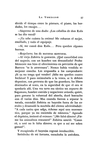 LA VOJtÁGINE 57
divide el tiempo entre la pintura, el piano, los bor-
dados, los encajes ...
-Sáqueme de una duda: ¿Los caballos de don Rafo
se los dio usted?
-¡Ya sabe cuánto lo estimo! Me robaron el mejor,
ensillado, y todo el equipaje.
-Sí, me contó don Rafo ... Pero. quedan algunos
buenos.
-Regulares; los de nuestras monturas.
-Al viejo Zubieta le gustarán. ¡Qué casualidad esta
del negocio, con un hombre tan desconfiado! Proba-
blemente nos hizo el ofrecimiento en previsión de que
Barrera "se le atravesara". Nunca había vendido se-
mejante cosecha. Les respondía a los compradores:
¡Si ya no tengo qué vender! ¡Sólo me quedan cuatro
bichitos! Y para estimularlo a la venta, se le debían
depositar, con pretexto de que las guardara, las libras
destinadas al trato, en la seguridad de que el oro se
quedaría allí. Una vez tuvo esa táctica un saquero de
Sogamoso, hombre corrido y negociante avisado, quien,
para ganarse la voluntad del abuelo, duró borracho
con él varios días. Mas cuando fueron a separar la
torada, extendió Zubieta su bayetón fuera de los co-
rrales y desanudó la mochila del diente advirtiéndole:
HA cada torito que salga, écheme aquí una morroco-
tica, porque yo no entiendo de números." Agotado
el depósito, insinuó el reinoso: "¡Me faltó dinero! ¡Fíe-
me los animalitos restantes!" Zubieta sonrió: "Cama-
rá, a usté no le falta dinero; es que a mí me sobra
ganao!" ..
y recogiendo el bayetón regresó irreductible.
Satisfecho de mi fortuna, escuchaba la anécdota.
 
