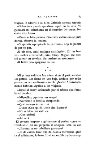 LA VORÁGINE
'trágico, le advertí a la niña Griselda apenas regresó:
-Sebastiana puede quedarse aquí, en la sala. Yo
.guindaré mi chinchorro en el corredor del caney. Ne-
·cesito aire fresco.
-Eso sí es bien pensao. Con estos calores no se puée.
dormí, observó la mulata.
-Si queréis -propúsole la patrona-, deja la puerta
de par en par.
Al oír esto, sentí maligna satisfacción. Di las bue-
nas noches acentuando estas frases: Miguel me ofre-
ció cantar un ·corrido. No tardaré en acostarme.
Al breve rato apagaron la luz.
*
* * .Mi primer cuidado fue mirar si en el patio estaban
los perros. Los llamé en voz baja, anduve por todas
partes con extraordinaria cautela. ¡Nadal Afortunada-
mente habrían seguido a los viajeros.
Llegué al caney, orientado por el tabaco que fuma-
ba el hombre.
-Miguelito, ¿quieres un trago?
Devolviome la botella escupiendo:
-Qué amargo ta ese ron.
-Dime: ¿Con quién tiene cita Barrera?
-No sé bien con cuál es.
~¿Con ambas?
-Así será.
El corazón empezó a golpearme el pecho, como un
redoblante. En mi garganta se ahogaba, seca, la voz.
-¿Barrera es un caballero generoso?
-Es de chuzo. Dice que da cuanta mercancía quie-
ra el solicitante, lo hace firmá en un libro y le entrega
 