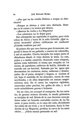 80 JoSÉ EUSTASIO RIVEM
-¿Por qué no ha venido Zubieta a ocupar su chin-
chorro?
-Porque es alertao y teme otra chirinola. DUff-
me en la cocina y se tranca por dentro.
-¿Barrera ha vuelto a La Maporita?
-Las calenturas no lo dejan pará.
Esta afirmación me aquietaba el espíritu, pues vivía
celoso de Alicia y hasta de la niña Griselda. ¿Qué es-
tarían haciendo? ¿Cómo calificarían mi conducta?
¿Cuándo vendrían por mí?
El primer día que tuve fuerzas para levantarme, sus-
pendí el brazo de un pañuelo, a manera de cabestrillo.
y salí al corredor. Clarita barajaba los naipes junto al
chinchorro donde el viejo dormía la siesta. La casa,
pajiza y a medio construir. desaseada como ninguna.
apenas tenía habitable el tramo que ocupaba yo. La
cocina, de paredones cubiertos de hollín. defendía su
entrada con un barrizal. formado por las aguas que
derramaban las cocineras, sucias, sudorosas y desarra-
padas. En el patio, desigual y fragoso, se secaban al
sol. bajo el zumbido de los moscones, cueros de reses
sacrificadas, y de ellos desprendía un zamuro sangui-
nolentas tiras. En el caney los vaqueros vigilaban.
amarrados sobre perchas, los gallos de riña. y en el
suelo refocilábanse perros y lechones.
Sin ser visto, me acerqué al tranquero. En los corra-
les, de gruesos troncos clavados, la torada prisionera.
se trasijaba de sed. Detrás de la casa dormían unos ga-
ñanes sobre un bayetón extendido encima de las ba-
suras. A poco trecho, en la costa del caño, divisábanse
los toldos de mi rival, y en el horizonte, hacia la fun-
dación de La Maporita, perdíase la curva de los mori-
chales .. , ¡Alicia estaría pensando en míl
 