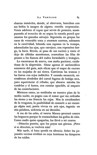 LA VORÁGINE
charcas inmóviles, donde, al abrevarse, borraban con
sus belfos la imagen de alguna estrella crepuscular.
Venía adelante el rapaz que servía de puntero, acom-
pasando al trotecito de su yegua la tonada pueril que
amansa los ganados salvajes. Seguíanlo en grupos los
toros de venerable testa y enormes cuernos, solemnes.,
en la cautividad, hilando una espuma en la trompa,
adormilados los ojos, que enrojece, con repentino fue-
go, la furia. Detrás, al paso de sus rocines y entre el
dejo de silbidos monótonos, avanzaban las filas de-
peones a los flancos del rodeo formidable y letárgico.
Lo encerraron de nuevo, con maña paciente, cuida-
dosos de la dispersión. Oíase apenas el melancólico,
sonsonete del guía, más eficaz que el toque de cuerno
en las majadas de mi tierra. Corrieron las trancas y
las liaron con rejos indóciles. Y cuando oscureció, en-o
cendieron alrededor del corral fogatas de boñiga seca,
para aquerenciar el rebaño, que absorto miraba las·
candelas y el humo, con rumiar apacible, al amparo
de las constelaciones.
Mientras tanto, yo meditaba en nuestro plan de la
media noche, en pugna con el temor que me enfriaba
las sienes y me frunda las cejas. Mas la certidumbre'
de la venganza, la posibilidad de causarle a mi enemi-
go algún mal, ponía viveza en mis ojos, ingenio en
mis palabras, ardentía en mi decisión.
A eso de las ocho, el tuerto Mauco protestó contra
las hogueras porque le trasnochaban los gallos de riña.
Como nadie quiso apagarlas, los llevó a mi cuarto.
-Démeles posaíta, que los poyos son giienos. ¡Pero.
si se desvelan,se vuelven náal
Más tarde, el hato quedó en silencio. Sobre los pa-
jonales vecinos tendían su raya luminosa las lámparas,
de los toldos.
 