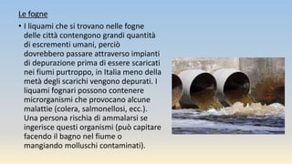 Le fogne
• I liquami che si trovano nelle fogne
delle città contengono grandi quantità
di escrementi umani, perciò
dovrebbero passare attraverso impianti
di depurazione prima di essere scaricati
nei fiumi purtroppo, in Italia meno della
metà degli scarichi vengono depurati. I
liquami fognari possono contenere
microrganismi che provocano alcune
malattie (colera, salmonellosi, ecc.).
Una persona rischia di ammalarsi se
ingerisce questi organismi (può capitare
facendo il bagno nel fiume o
mangiando molluschi contaminati).
 