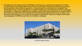 • Il Programma di Cooperazione FAO/Italia contribuisce a sostenere programmi di lotta
all’insicurezza alimentare delle comunità più vulnerabili, fornendo consulenza tecnica a
livello globale sulle politiche agricole, e consentendo la realizzazione di progetti che
attraverso azioni concrete portano a risultati tangibili per la promozione di uno sviluppo
sostenibile. L'approccio adottato dai progetti nel quadro del Programma di Cooperazione
permette non solo di fornire assistenza immediata per garantire l'accesso al cibo e una
corretta alimentazione, ma anche di sviluppare capacità di risposta a lungo termine per
accompagnare il difficile cammino di crescita e sviluppo.
La FAO ha sede a Roma
 