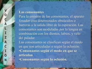 VOCALIZACIÓNLas consonantes Para la emisión de las consonantes, el aparato fonador crea determinados obstáculos o barreras a la salida libre de la espiración. Las consonantes son moduladas por la lengua en combinación con los dientes, labios, y velo del paladar.Las consonantes se clasifican según el modo en que son articuladas o según la oclusión:Consonantes según el modo en que se articulan 