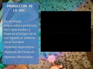 PRODUCCIÓN DE LA VOZ.De un modo esquemático podemos decir que existen 3 fases en el origen de la voz ligados al sistema vocal humanoAparato respiratorio
