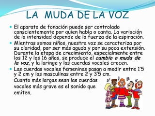 LA MUDA DE LA VOZ
 El aparato de fonación puede ser controlado
  conscientemente por quien habla o canta. La variación
  de la intensidad depende de la fuerza de la espiración.
 Mientras somos niños, nuestra voz se caracteriza por
  su claridad, por ser más aguda y por su poca extensión.
  Durante la etapa de crecimiento, especialmente entre
  los 12 y los 16 años, se produce el cambio o muda de
  la voz, y la laringe y las cuerdas vocales crecen.
 Las cuerdas vocales femeninas pasan a medir entre 1’5
  y 2 cm y las masculinas entre 2 y 3’5 cm.
  Cuanto más largas sean las cuerdas
  vocales más grave es el sonido que
  emiten.
 