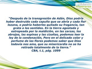 “ Después de la transgresión de Adán, Dios podría haber destruido cada capullo que se abría y cada flor lozana, o podría haberles quitado su fragancia, tan grata a los sentidos. En la tierra agostada y estropeada por la maldición, en las zarzas, los abrojos, las espinas y las cizañas, podemos leer la ley de la condenación, Pero en el delicado color y perfume de las flores podemos saber que Dios todavía nos ama, que su misericordia no se ha retirado totalmente de la tierra.” CBA, t.1, pág. 1099 