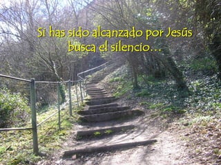 Si has sido alcanzado por Jesús
busca el silencio…
 