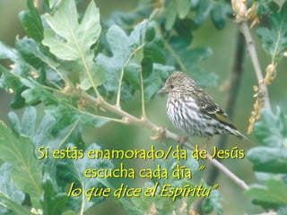 Si estás enamorado/da de Jesús
escucha cada día “
lo que dice el Espíritu”
 