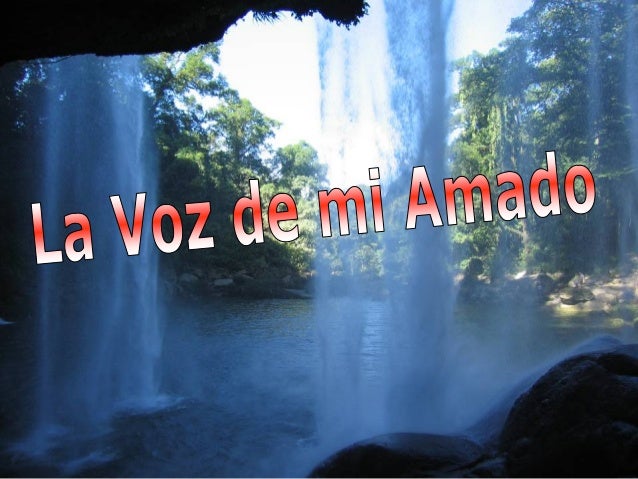 La Voz De Mi Amado
