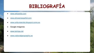 BIBLIOGRAFÍA
● www.wikipedia.com
● www.ehowenespañol.com
● www.snlluviaacida.blogspot.como.es
● Google imágenes
● www.taringa.net
● www.nationalgeographic.es
 