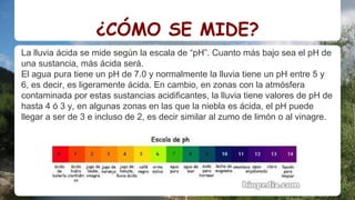 ¿CÓMO SE MIDE?
La lluvia ácida se mide según la escala de “pH”. Cuanto más bajo sea el pH de
una sustancia, más ácida será.
El agua pura tiene un pH de 7.0 y normalmente la lluvia tiene un pH entre 5 y
6, es decir, es ligeramente ácida. En cambio, en zonas con la atmósfera
contaminada por estas sustancias acidificantes, la lluvia tiene valores de pH de
hasta 4 ó 3 y, en algunas zonas en las que la niebla es ácida, el pH puede
llegar a ser de 3 e incluso de 2, es decir similar al zumo de limón o al vinagre.
 