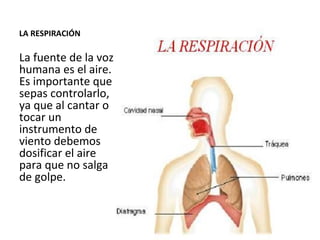 LA RESPIRACIÓN La fuente de la voz humana es el aire. Es importante que sepas controlarlo, ya que al cantar o tocar un instrumento de viento debemos dosificar el aire para que no salga de golpe.