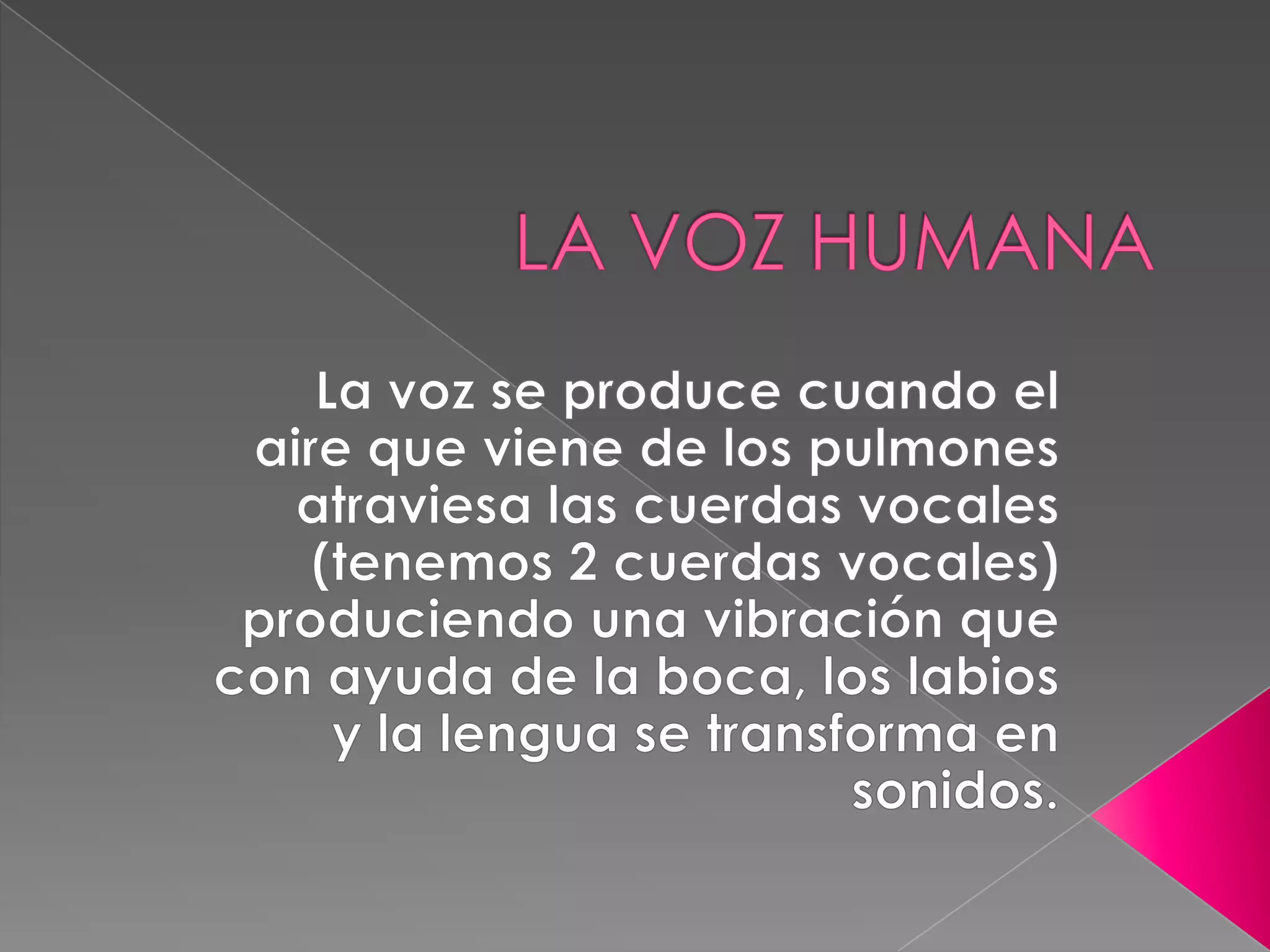 La voz humana | PPTX | Music | Entertainment