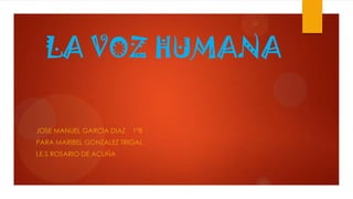 LA VOZ HUMANA
JOSE MANUEL GARCIA DIAZ 1ºB
PARA MARIBEL GONZALEZ TRIGAL
I.E.S ROSARIO DE ACUÑA
 