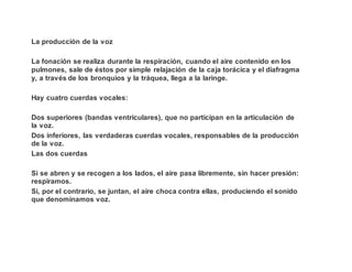 La producción de la voz
La fonación se realiza durante la respiración, cuando el aire contenido en los
pulmones, sale de éstos por simple relajación de la caja torácica y el diafragma
y, a través de los bronquios y la tráquea, llega a la laringe.
Hay cuatro cuerdas vocales:
Dos superiores (bandas ventriculares), que no participan en la articulación de
la voz.
Dos inferiores, las verdaderas cuerdas vocales, responsables de la producción
de la voz.
Las dos cuerdas
Si se abren y se recogen a los lados, el aire pasa libremente, sin hacer presión:
respiramos.
Si, por el contrario, se juntan, el aire choca contra ellas, produciendo el sonido
que denominamos voz.
 