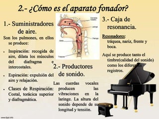 La voz y el canto | PPSX
