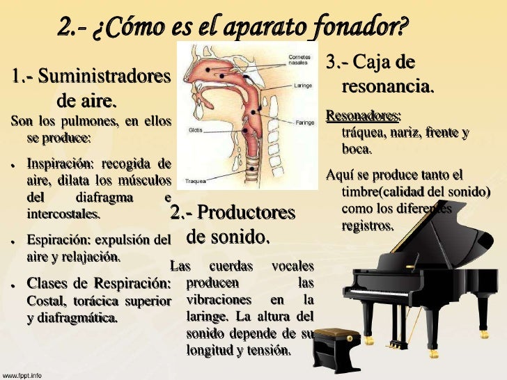 La voz y el canto