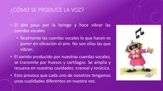 ¿CÓMO SE PRODUCE LA VOZ?
• El aire pasa por la laringe y hace vibrar las
cuerdas vocales.
• Realmente las cuerdas vocales lo que hacen es
poner en vibración el aire. No son ellas las que
vibran.
• El sonido producido por nuestras cuerdas vocales,
se transmite por huesos y cartílagos. Se amplia y
resuena en nuestras cavidades: craneal y torácica.
• Esto provoca que cada uno de nosotros tengamos
unas cualidades diferentes en nuestra voz.
 