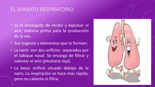 EL APARATO RESPIRATORIO
• Es el encargado de recibir y expulsar el
aire, materia prima para la producción
de la voz.
• Sus órganos y elementos que lo forman:
• La nariz: son dos orificios separados por
el tabique nasal. Se encarga de filtrar y
calentar el aire (pituitaria roja).
• La boca: orificio situado debajo de la
nariz. La respiración se hace más rápida,
pero no calienta ni filtra.
 