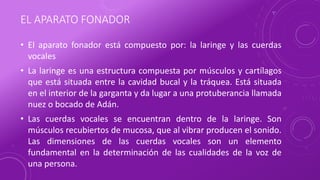 EL APARATO FONADOR
• El aparato fonador está compuesto por: la laringe y las cuerdas
vocales
• La laringe es una estructura compuesta por músculos y cartílagos
que está situada entre la cavidad bucal y la tráquea. Está situada
en el interior de la garganta y da lugar a una protuberancia llamada
nuez o bocado de Adán.
• Las cuerdas vocales se encuentran dentro de la laringe. Son
músculos recubiertos de mucosa, que al vibrar producen el sonido.
Las dimensiones de las cuerdas vocales son un elemento
fundamental en la determinación de las cualidades de la voz de
una persona.
 