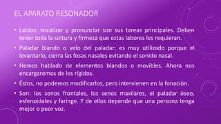 EL APARATO RESONADOR
• Labios: vocalizar y pronunciar son sus tareas principales. Deben
tener toda la soltura y firmeza que estas labores les requieran.
• Paladar blando o velo del paladar: es muy utilizado porque el
levantarlo, cierra las fosas nasales evitando el sonido nasal.
• Hemos hablado de elementos blandos o movibles. Ahora nos
encargaremos de los rígidos.
• Éstos, no podemos modificarlos, pero intervienen en la fonación.
• Son: los senos frontales, los senos maxilares, el paladar óseo,
esfenoidales y faringe. Y de ellos depende que una persona tenga
mejor o peor voz.
 