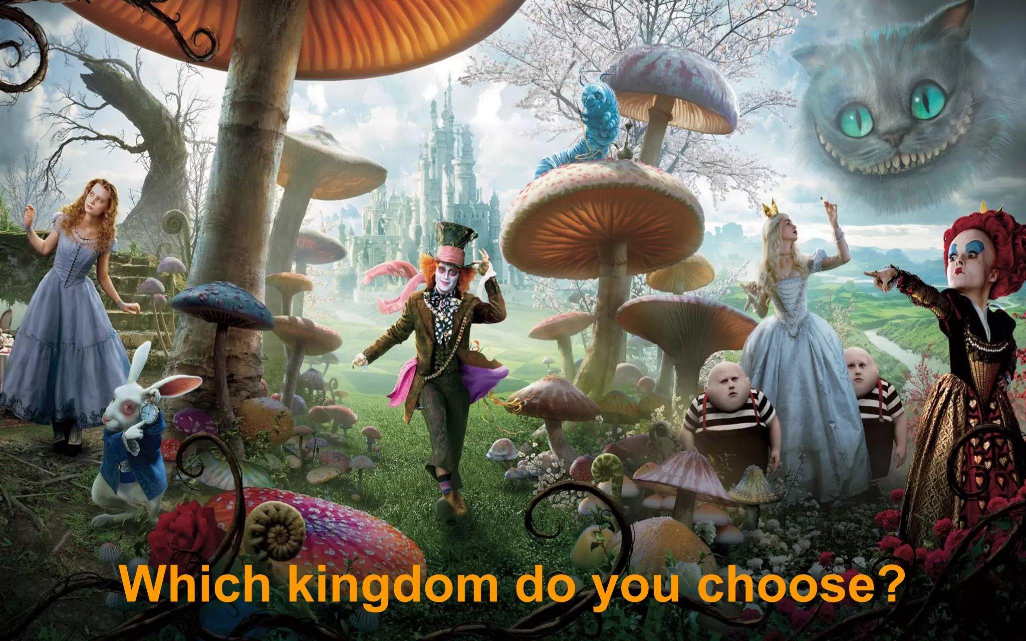 Which kingdom do you choose?
 