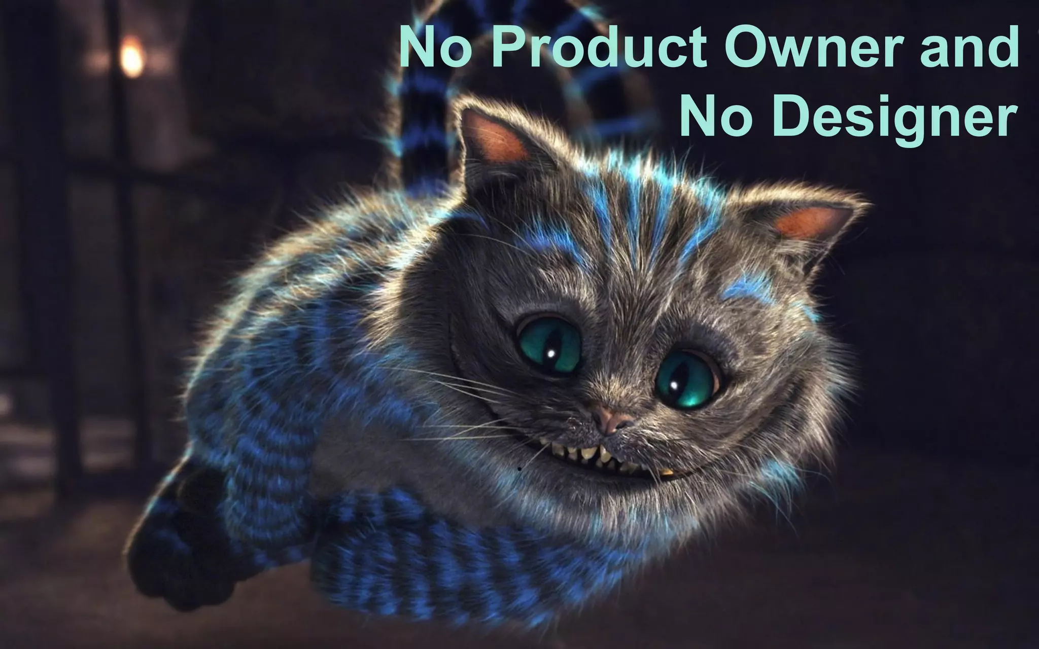 No Product Owner and
No Designer
 