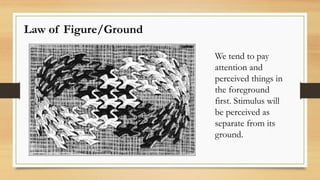 Law-of-Good-Pragnanz-Canshshnlabshsgsshsjshs.pptx