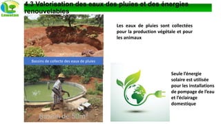 4.3 Valorisation des eaux des pluies et des énergies
renouvelables
Bassins de collecte des eaux de pluies
Les eaux de pluies sont collectées
pour la production végétale et pour
les animaux
Seule l’énergie
solaire est utilisée
pour les installations
de pompage de l’eau
et l’éclairage
domestique
 