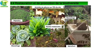 4.4 Restauration et de promotion de la biodiversité
Activités de pâtures sur 79% du site
Apiculture
Pépinière
Plantes médicinales
Maraichage
Maraichage
 
