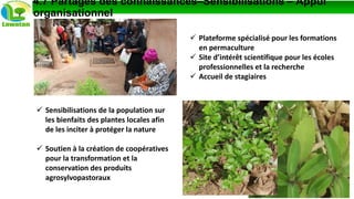 4.7 Partages des connaissances–Sensibilisations – Appui
organisationnel
 Sensibilisations de la population sur
les bienfaits des plantes locales afin
de les inciter à protéger la nature
 Soutien à la création de coopératives
pour la transformation et la
conservation des produits
agrosylvopastoraux
 Plateforme spécialisé pour les formations
en permaculture
 Site d’intérêt scientifique pour les écoles
professionnelles et la recherche
 Accueil de stagiaires
 