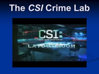 The CSI Crime Lab