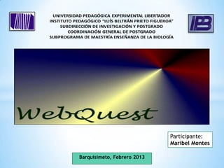 Participante:
                             Maribel Montes

Barquisimeto, Febrero 2013
 