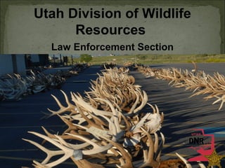 Utah Division of Wildlife
Resources
Law Enforcement Section
 