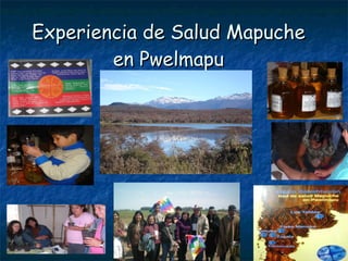 Experiencia de Salud Mapuche en Pwelmapu 