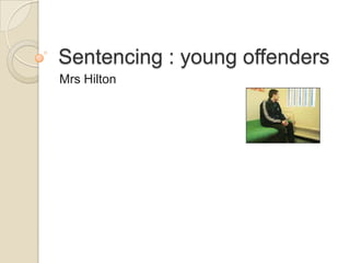 Sentencing : young offenders
Mrs Hilton
 