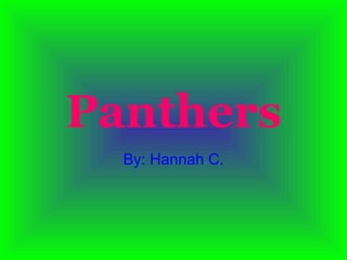 Panthers By: Hannah C. 