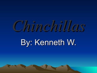 Chinchillas By: Kenneth W. 