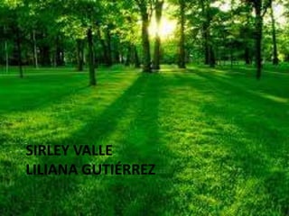 SIRLEY VALLE
LILIANA GUTIÉRREZ
 